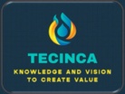 TECINCA LLC