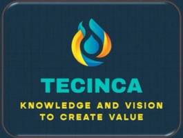 TECINCA LLC