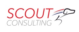 Scout Consulting LLC