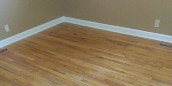 Inbetween sanding & refinishing you can have your floor screened & refinished.