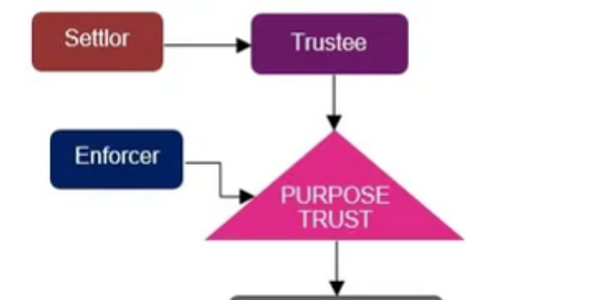 A Typical Purpose Trust structure