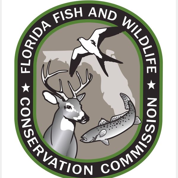 https://myfwc.com/