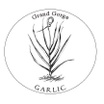 Grand Gorge Garlic