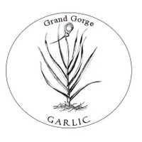 Grand Gorge Garlic