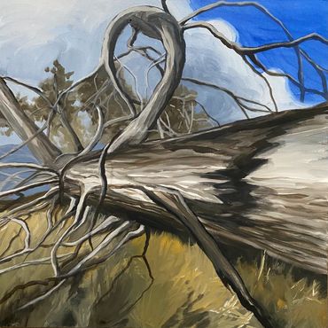 Fallen Tree
Acrylic on Canvas
30"x30"