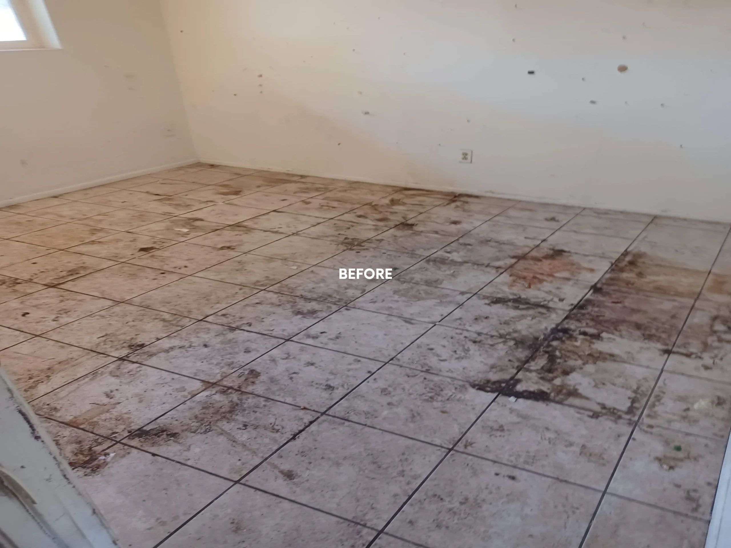 The #1 Tile and Grout Cleaning in Tucson, AZ