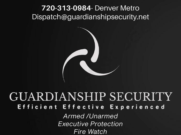 Professional Security Guards Guardianship Security