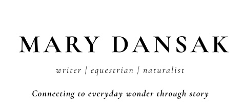 MARY  DANSAK