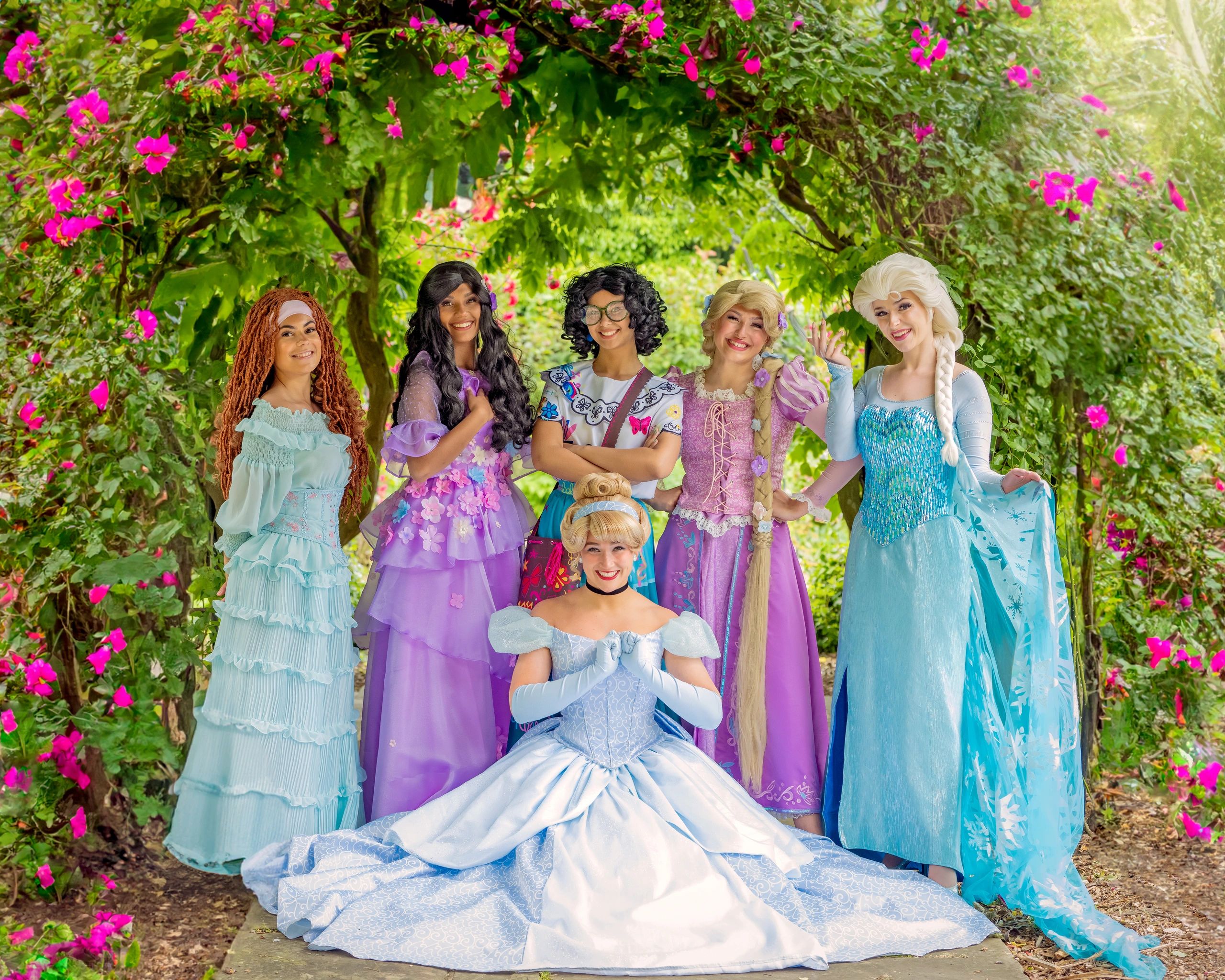 Princess Party Wishes - Princess Parties, Entertainer, Birthday