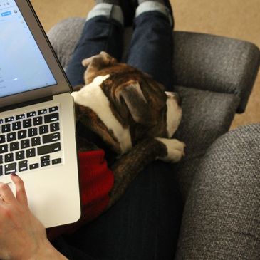 Person using laptop with a dog resting on their lap.