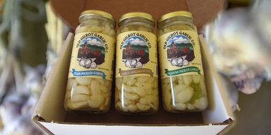 assorted-natural-flavored-pickled-garlic-cloves/