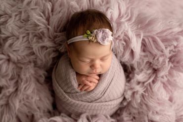 newborn in studio owatonna mn 