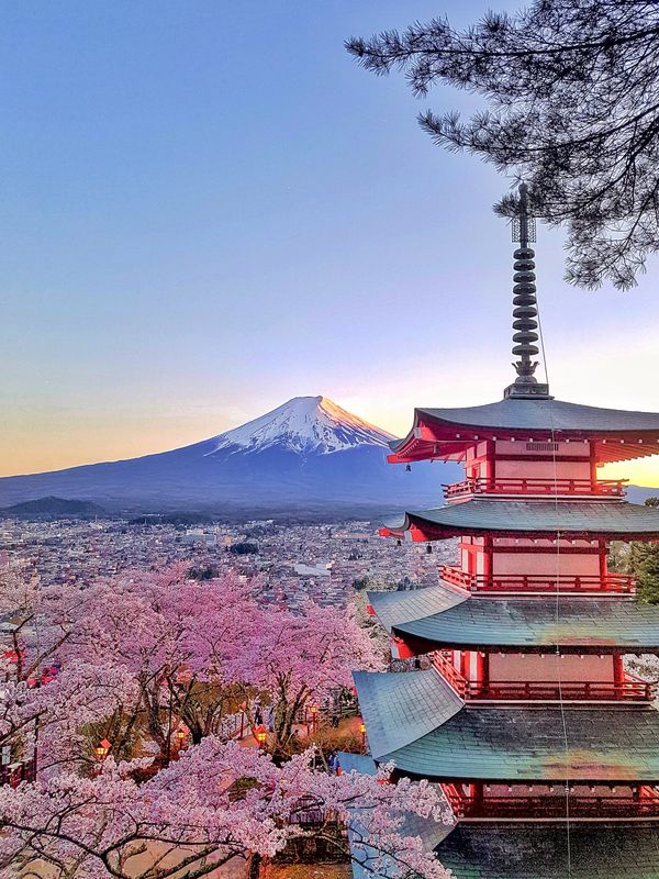 Mount Fuji with cherry blossoms and a pagoda.