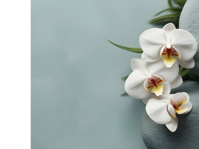 White elegant flowers