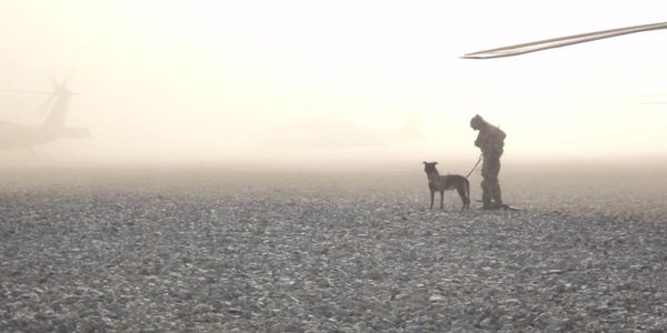 An operator and working dog stand near an aircraft in a dust-filled landing zone.