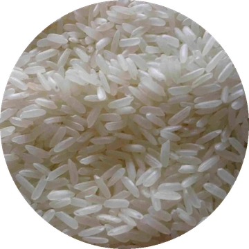 Close-up of uncooked white rice grains.