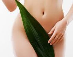 body waxing, brazilian, bikini, best body waxing, Honolulu Hawaii,  hair removal service, men waxing