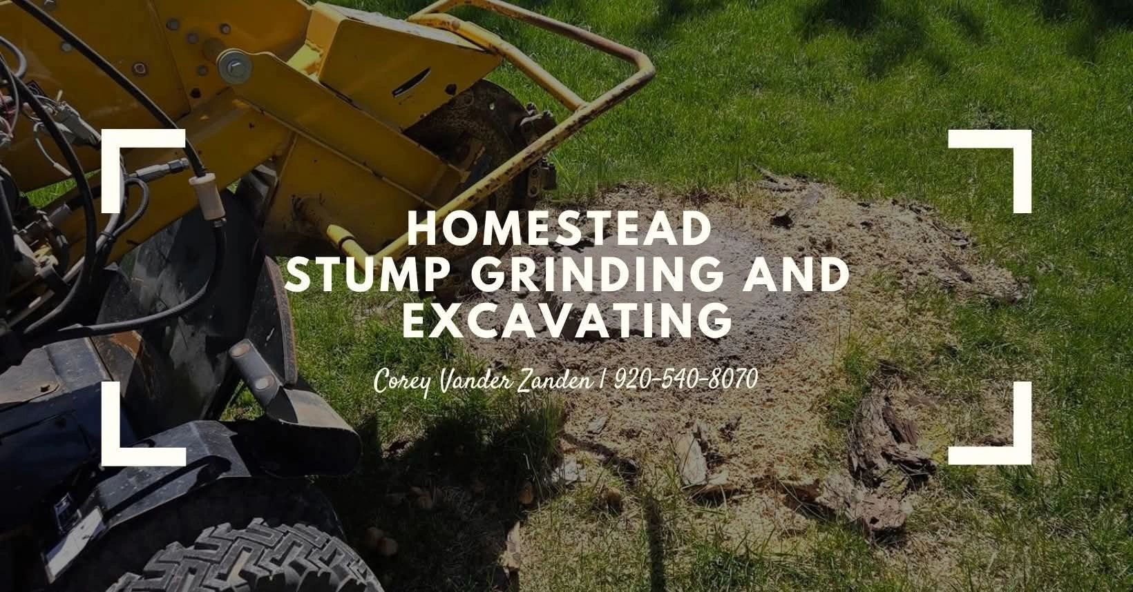Professional Tree Stump Removal Services
