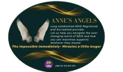 Anne's Angels
ABN 54 152 819 031
Establised 2011
