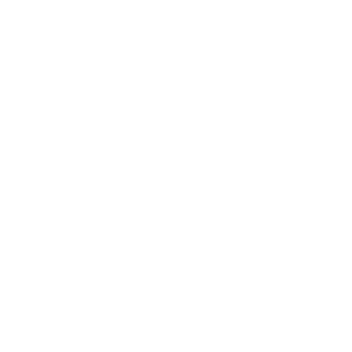 Into The Woods Rentals