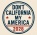 Don’t California My America 2028