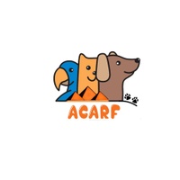 American Cairo Animal Rescue Foundation