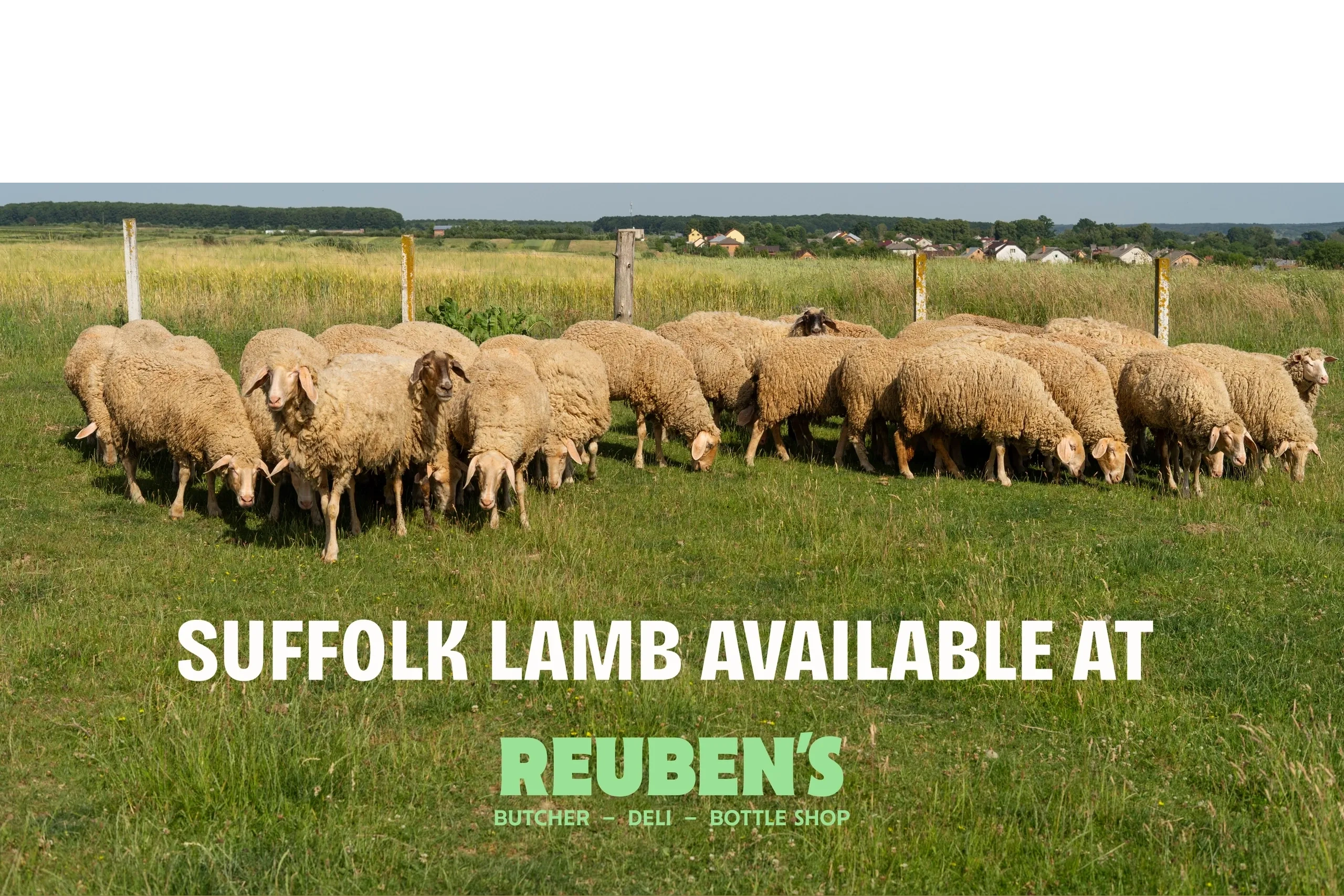(c) Reubens.co.uk