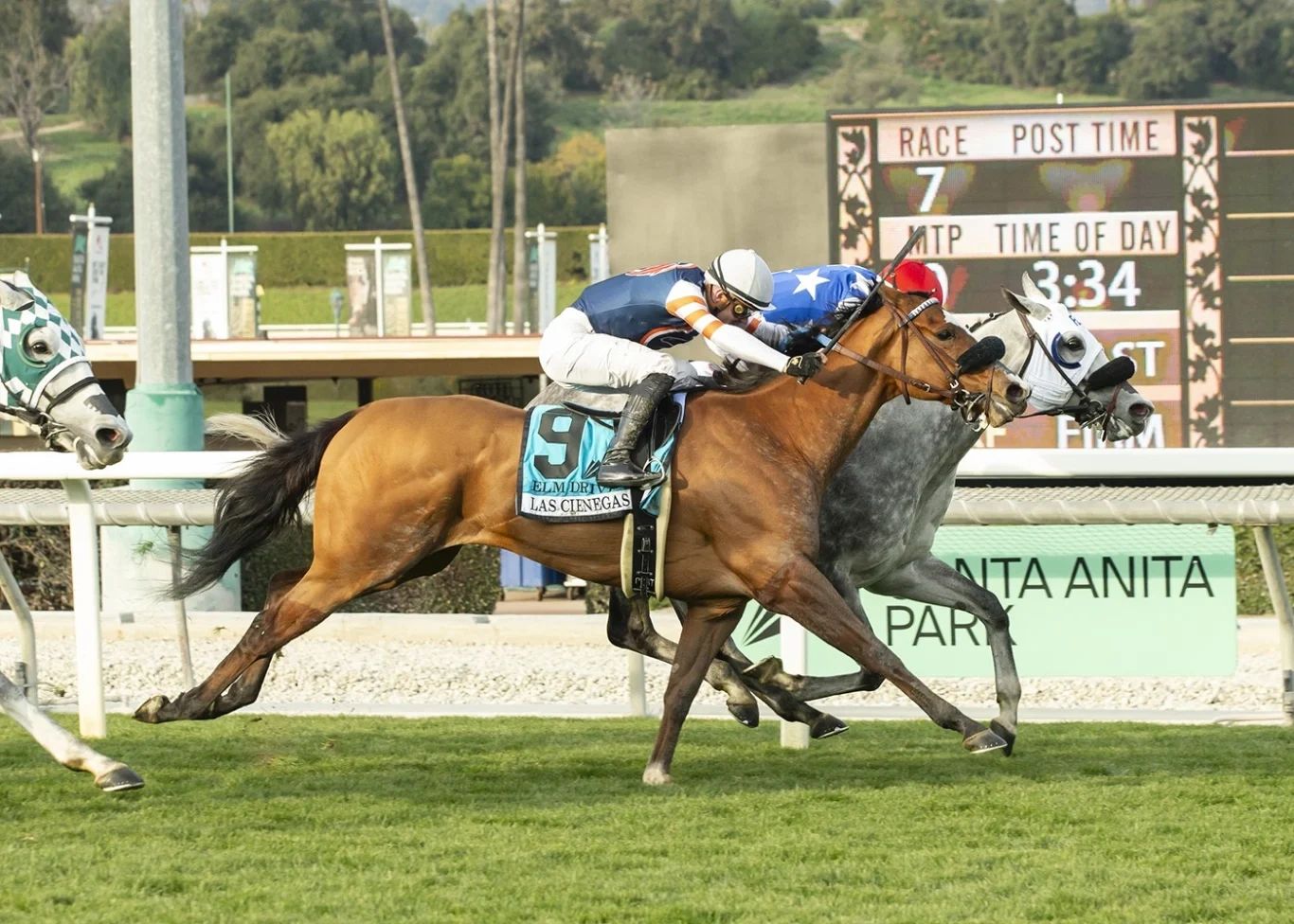 Santa Anita Picks Santa Anita Picks