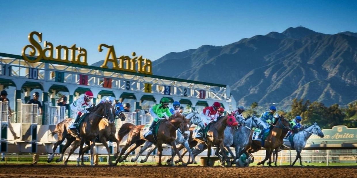 Horses break from the starting Gate at Santa Anita Park