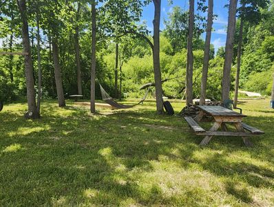 A peaceful park area with trees, picnic tables, and hammocks on a sunny day.