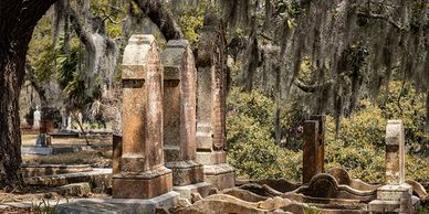 Moss drapes over tomb stones, Magnolia Cemetery, Charleston, SC
