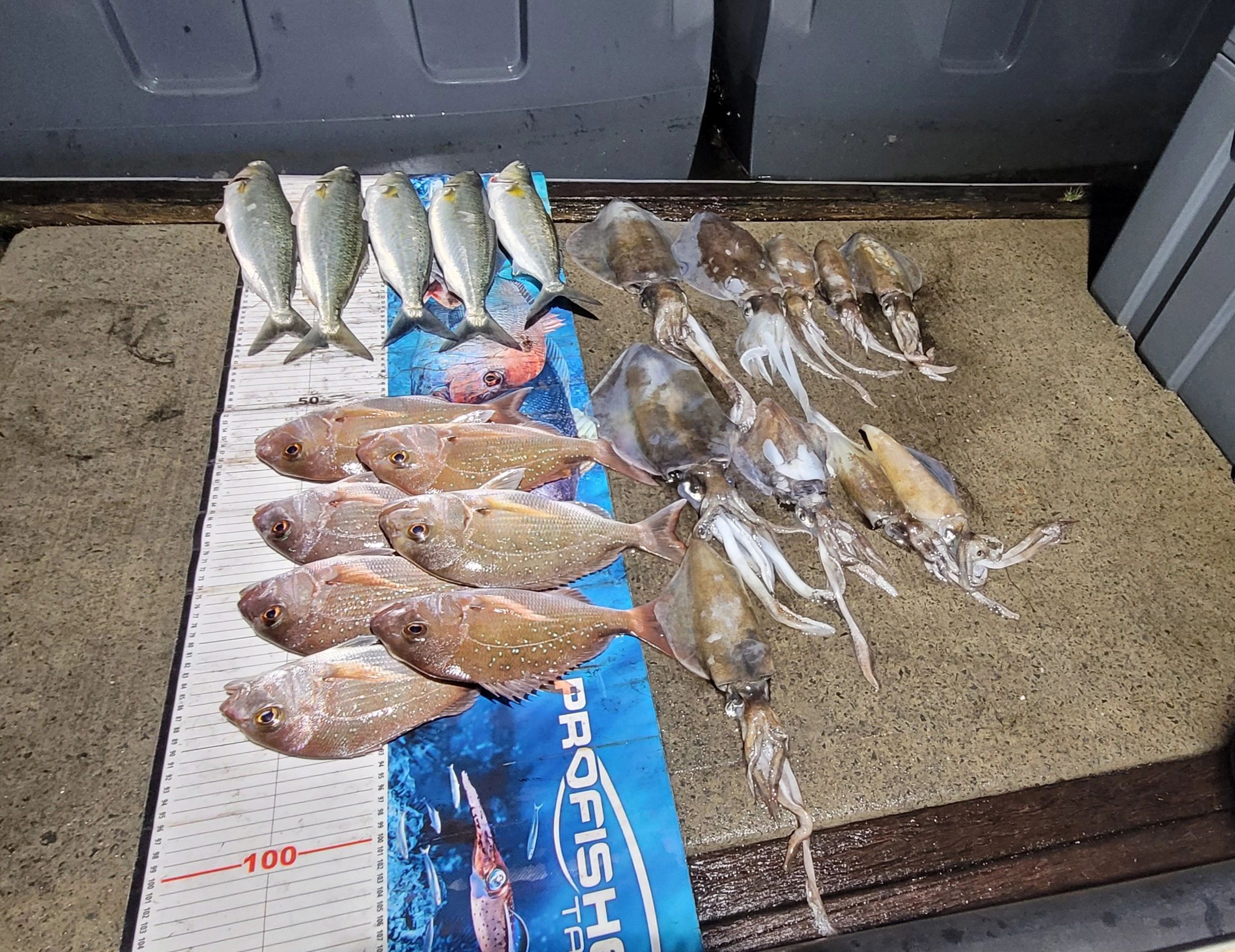 Twilight Fishing Charters in Williamstown, VIC