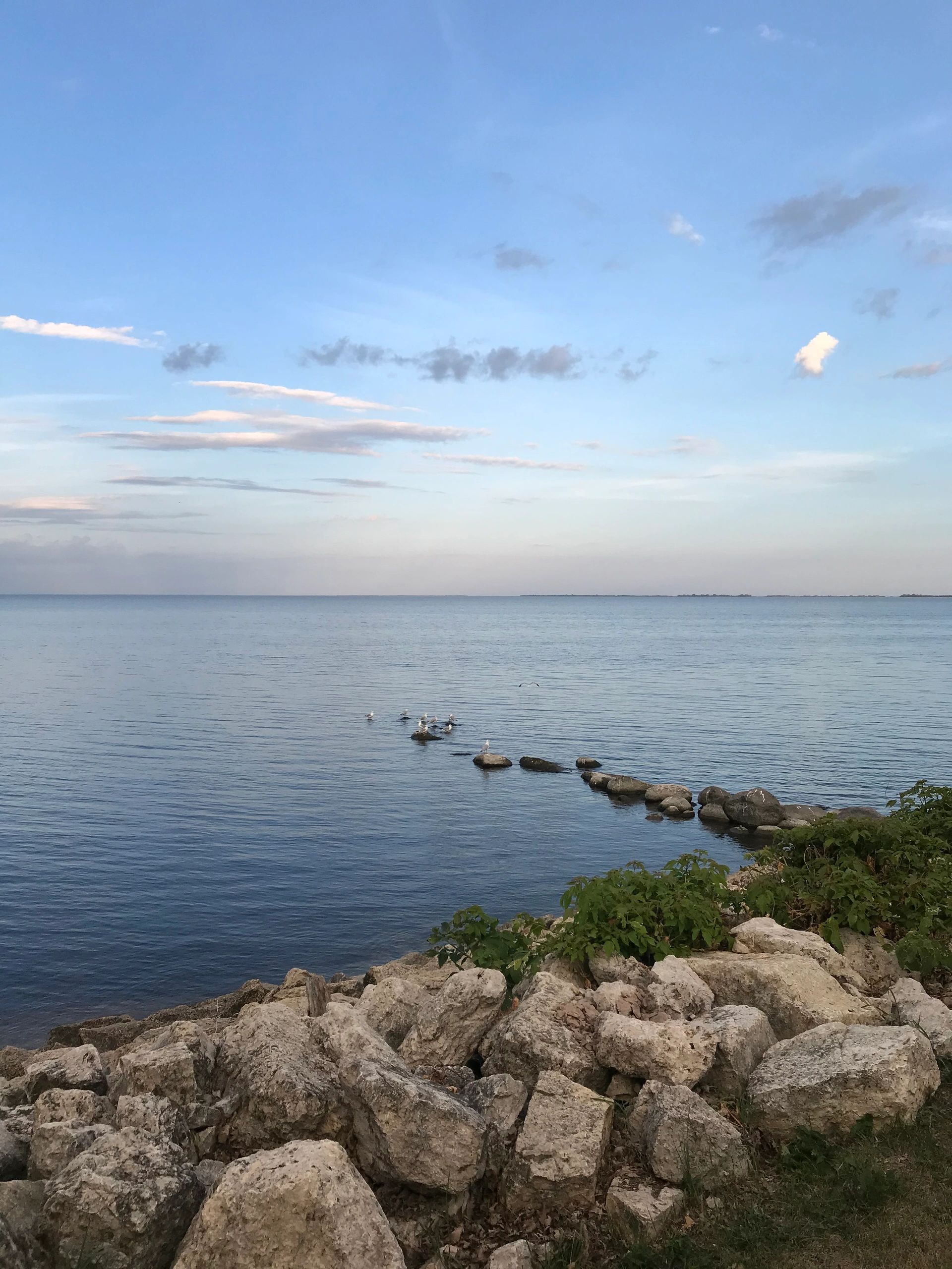 The Hypnosis Coach.ca logo