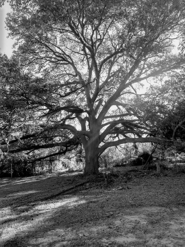 Historic Oak Hill Schoolhouse and History Museum