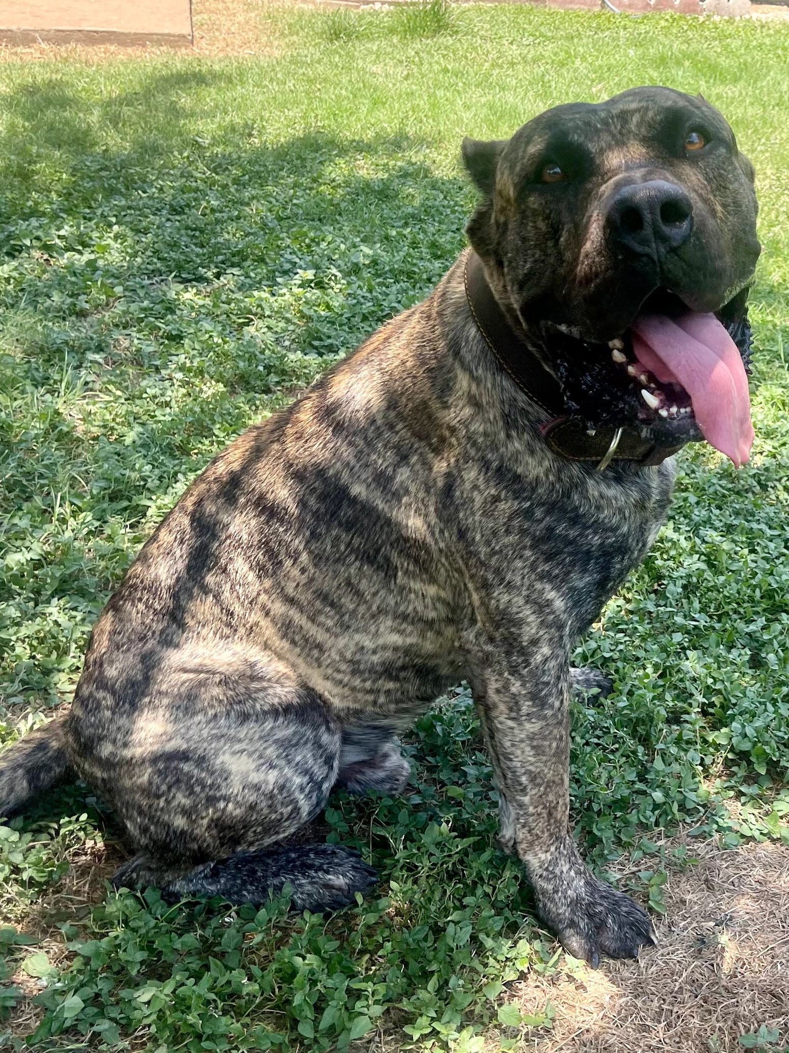 Barbwire's Axle