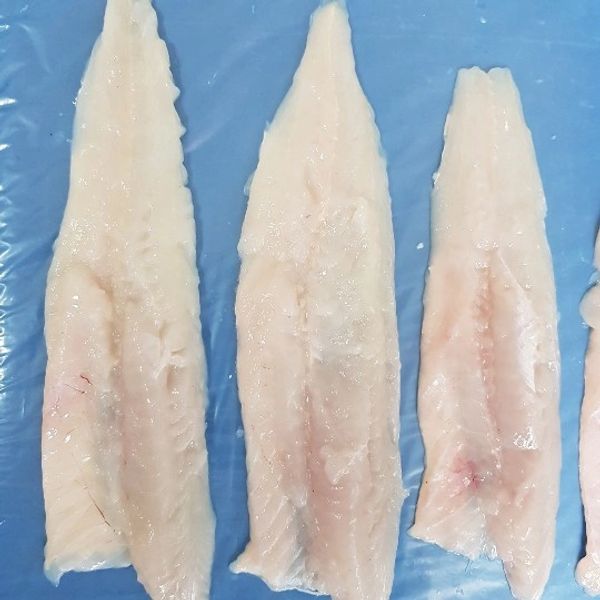 Hake Filet