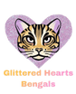 glittered hearts bengals 
