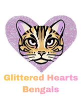 glittered hearts bengals 