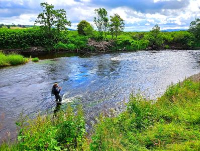 A person fishing in a lush riverside setting under a partly cloudy sky.