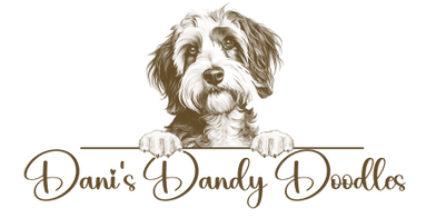 Dani’s Dandy Doodles