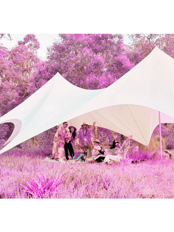 Group enjoying a picnic under a white canopy in a pink forest.