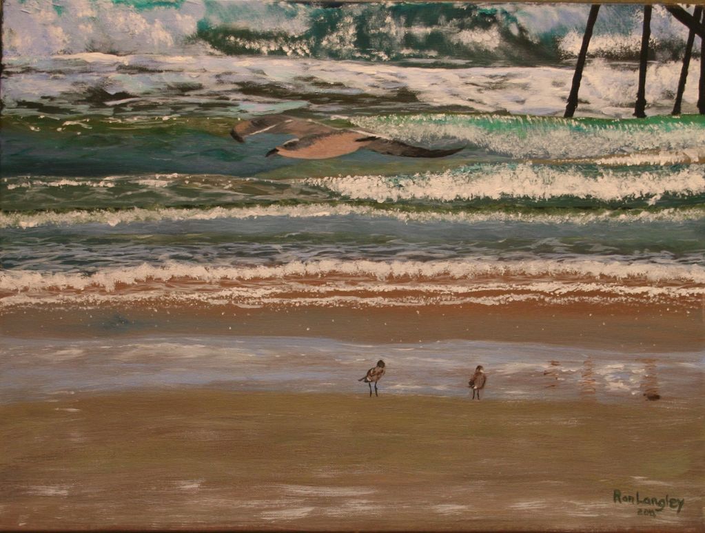 <img  src="shorebirds.jpg"  alt="Laughing gull flying along shoreline">