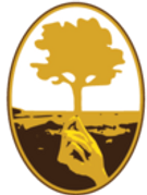 Mustard Seed Lawn Care