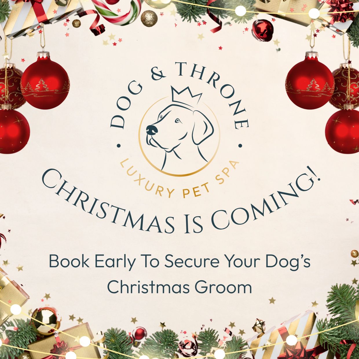 Holiday dog grooming booking promotion with festive decorations.