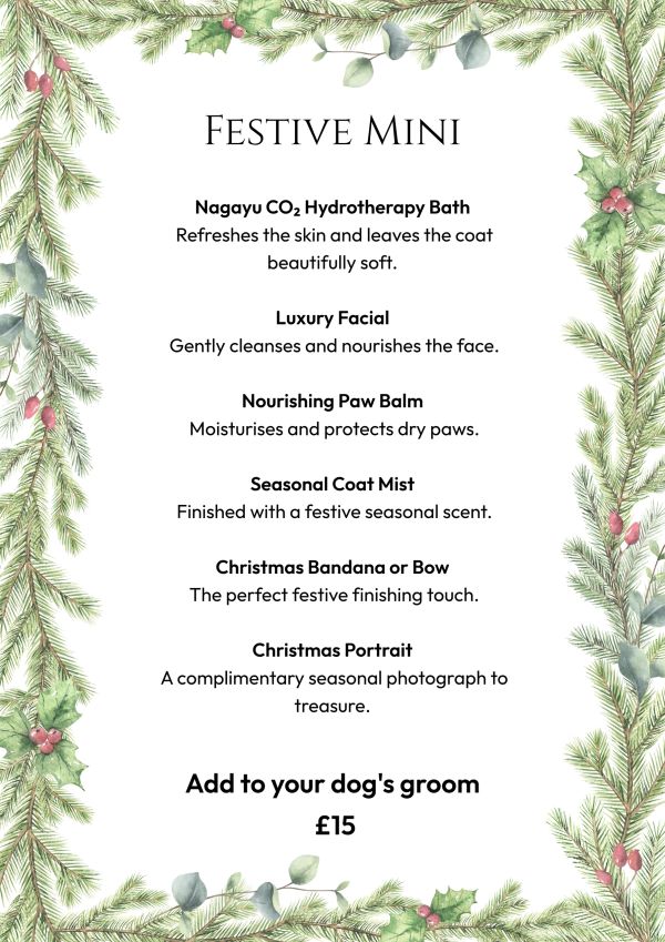 Festive Mini dog grooming add-on with bath, facial, balm, mist, bandana, and photo for £15.
