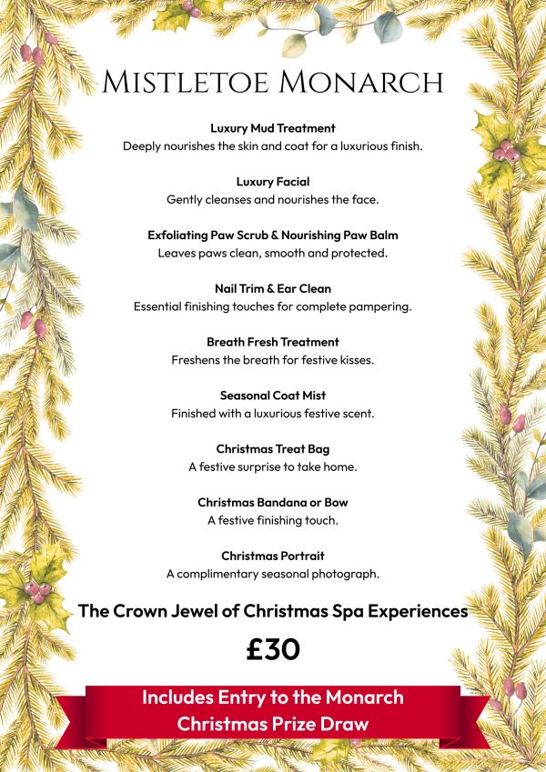Festive pet spa experience called Mistletoe Monarch with various treatments and a Christmas prize draw.