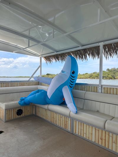 A large inflatable blue shark lounging on a boat's cushioned seating.