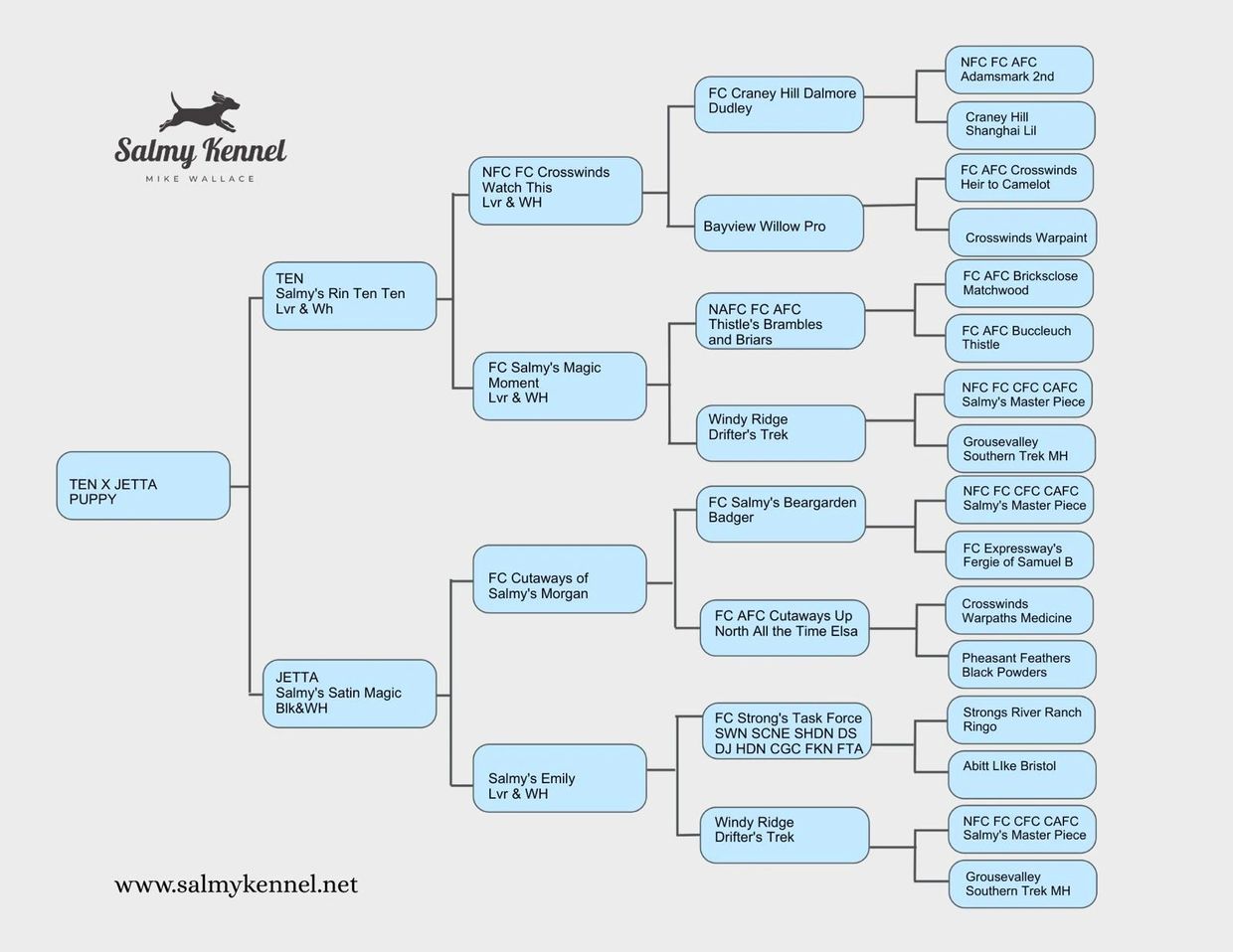 Pedigree chart for Salmy Kennel's TEN x Jetta puppy.
