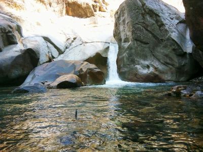 Trouting in Tirthan River