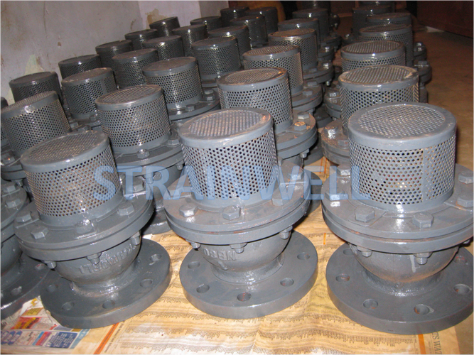 Tee Strainers
